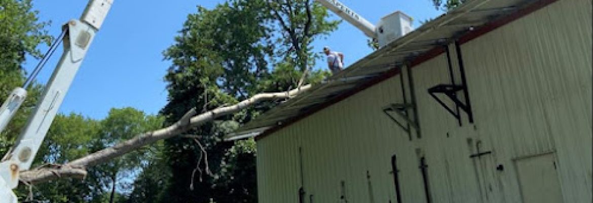Eastern Tree Experts LLC