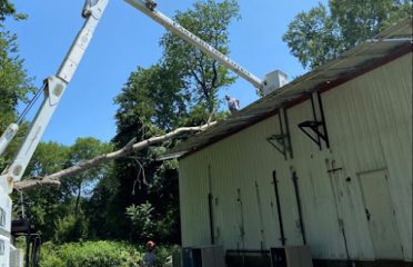 Eastern Tree Experts LLC
