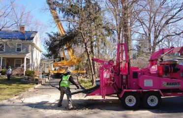 Northeast Horticultural Services