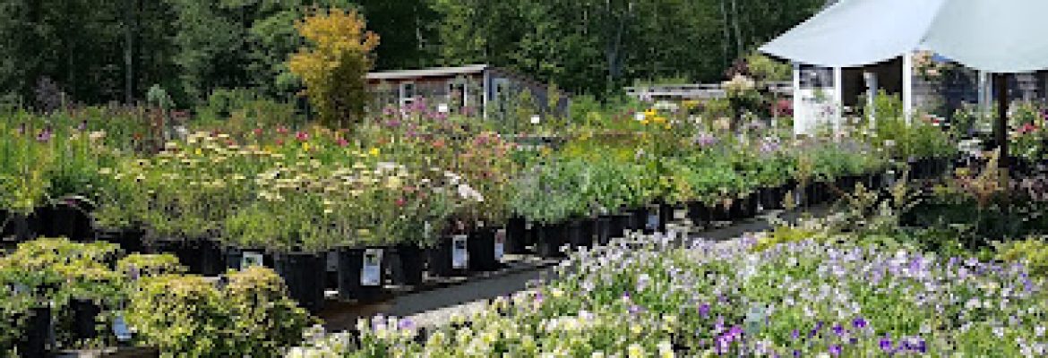 Plant Lot Farms