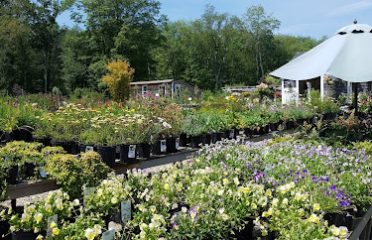 Plant Lot Farms