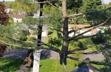 Advanced Tree Service LLC