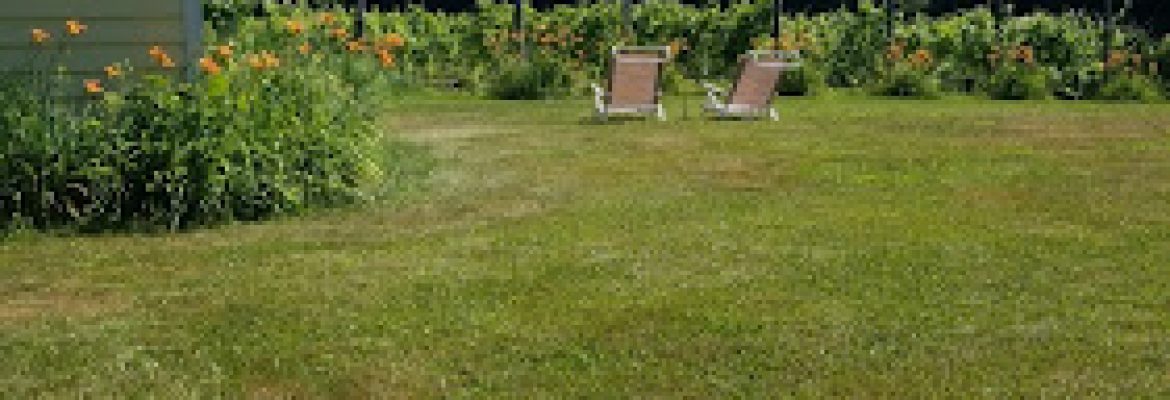 Bethlehem Vineyard and Winery, LLC