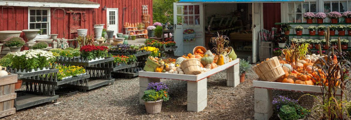 Eden Farms