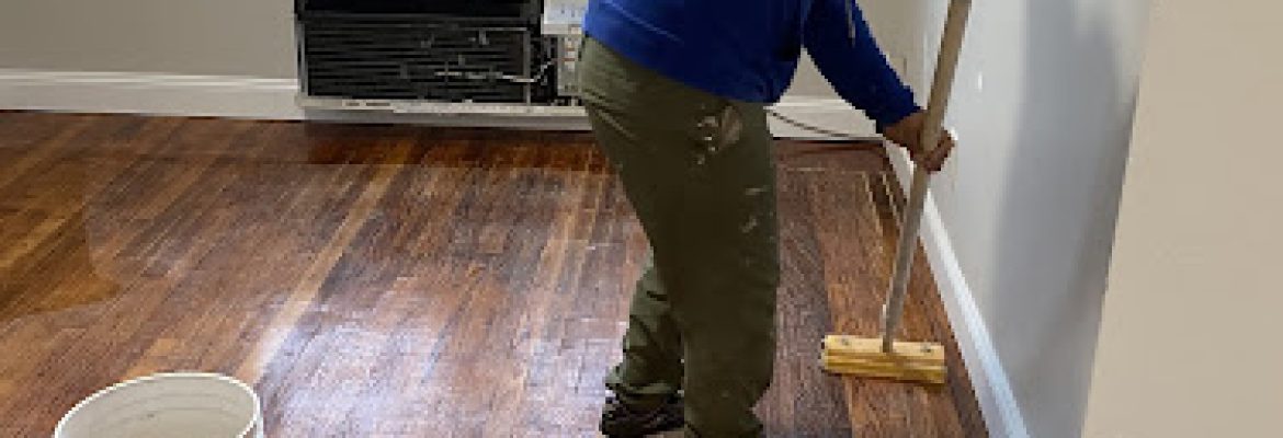 Lazarus Painting and Cleaning