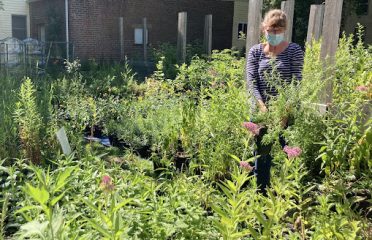 Urbanscapes Native Plant Nursery