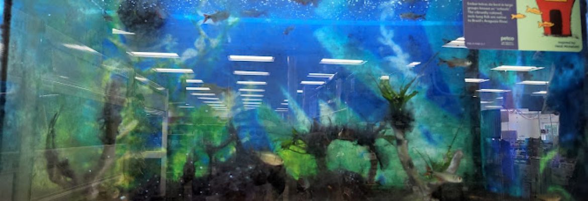 Petco