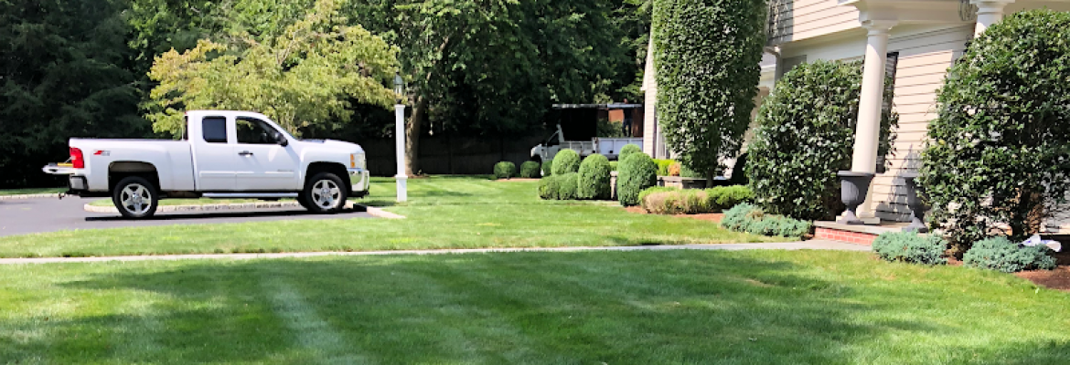 JS LANDSCAPING