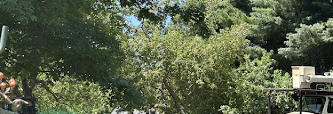 N & G Landscaping LLC
