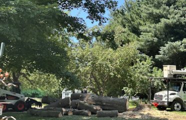 N & G Landscaping LLC
