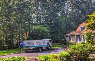 North Eastern Tree , Shrub and Lawn care
