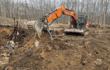 CT Siteworks