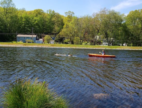 Mono Pond State Park Reserve