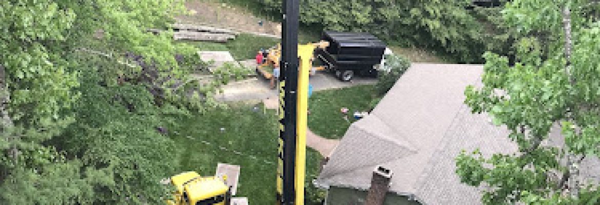Woodlands Tree Service LLC