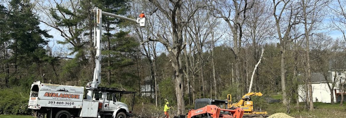 Avalanche Tree and Landscaping LLC