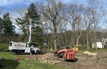 Avalanche Tree and Landscaping LLC
