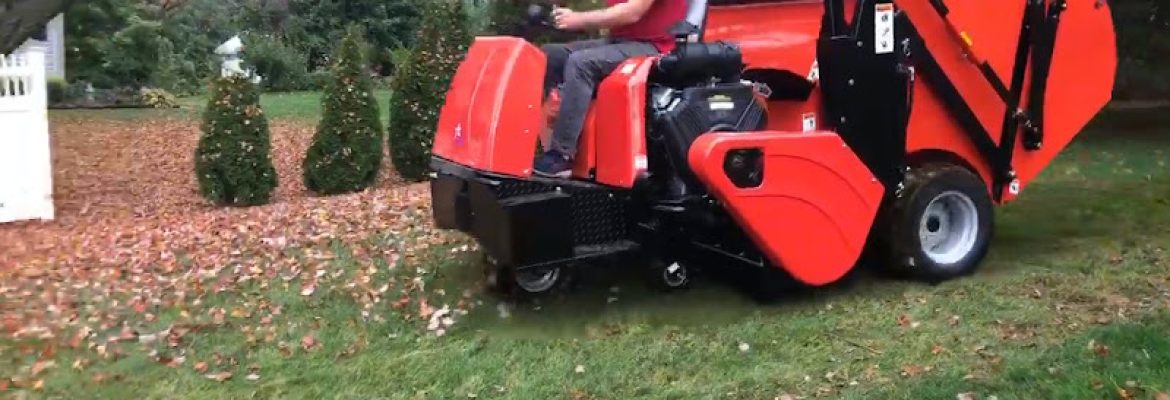 Toms Lawn Services LLC