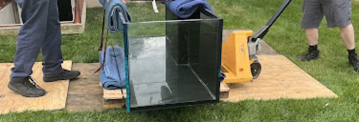 We Move Stuff