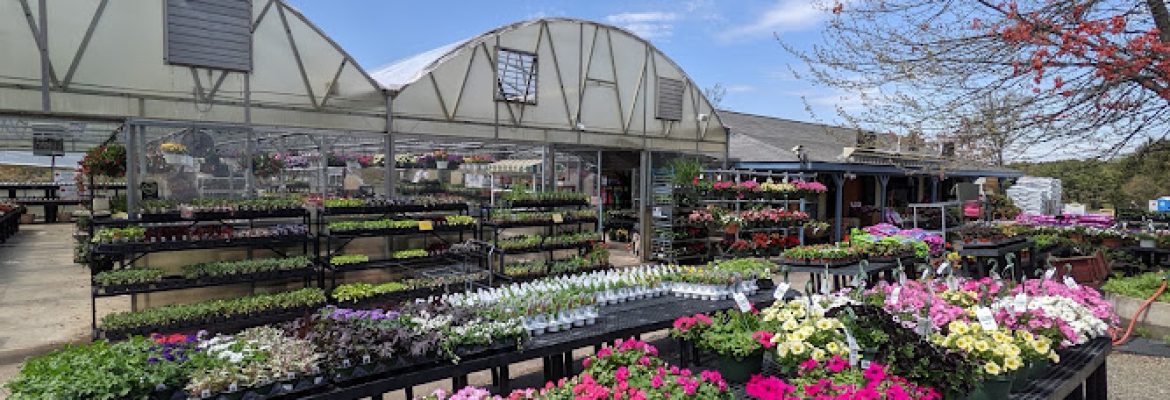 Geremia Gardens