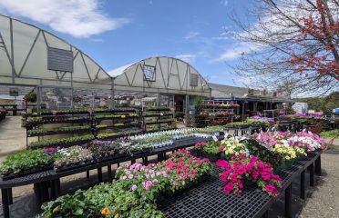 Geremia Gardens