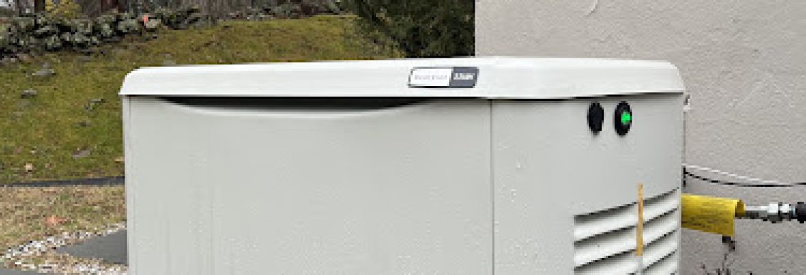 Dasan Electric