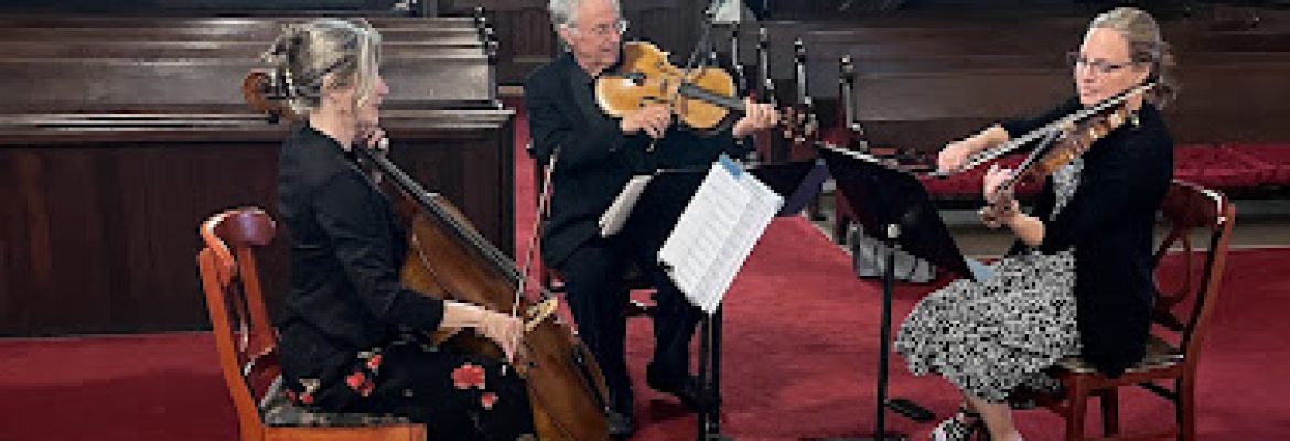 Arce Nova Wedding/Events Acoustic Music