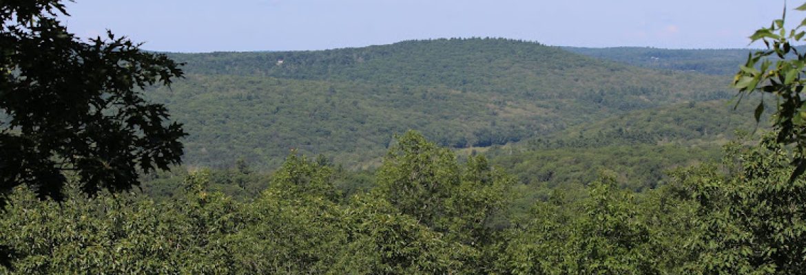 Prospect Mountain Preserve