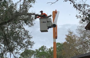 Four Seasons Tree services