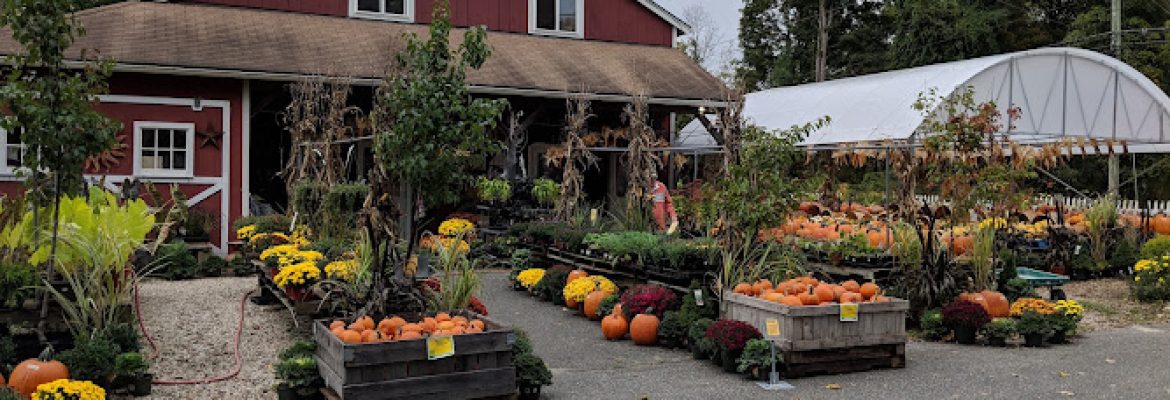 Freund’s Farm Market & Bakery