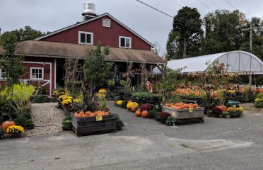 Freund’s Farm Market & Bakery