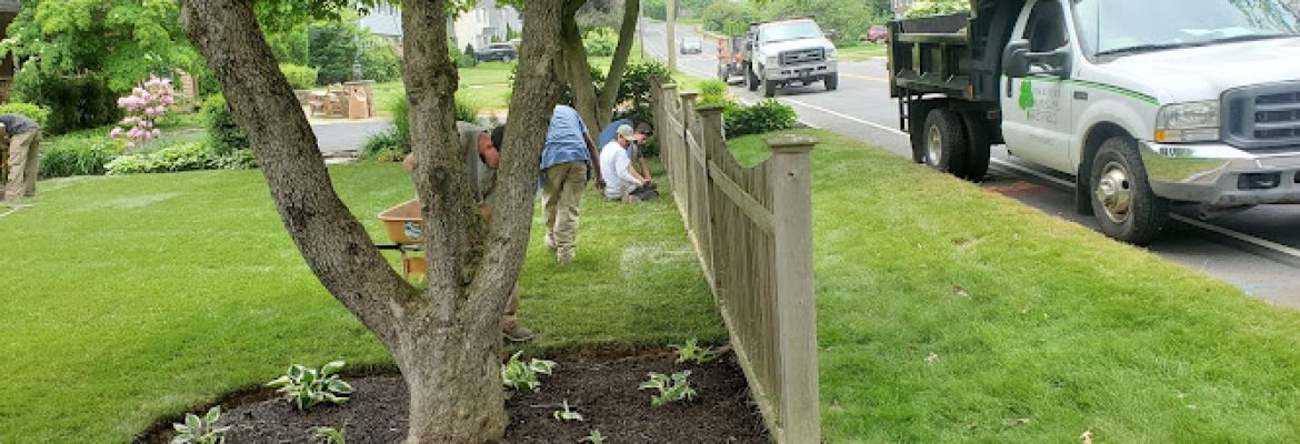 West Hartford Landscaping Inc.