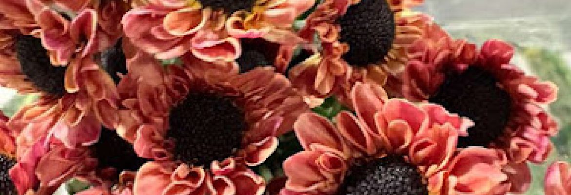 Vosz Floral Wholesale Flowers & Supplies