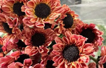 Vosz Floral Wholesale Flowers & Supplies