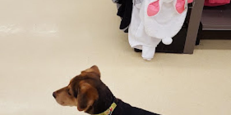 Petco