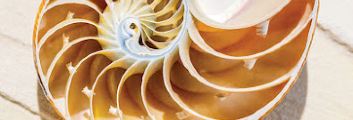 Tantien Integrative Medicine