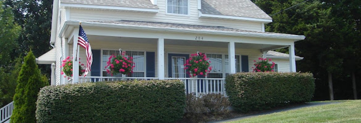 Apicella Adjusters Inc