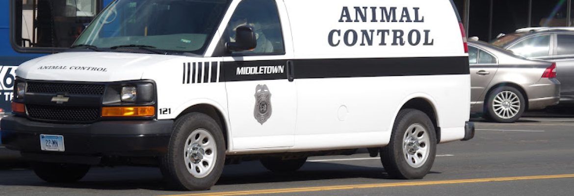 Middletown Animal Control
