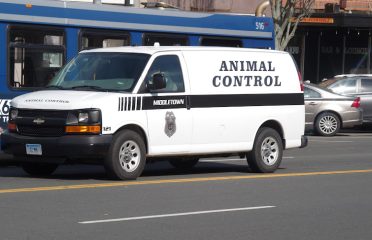Middletown Animal Control