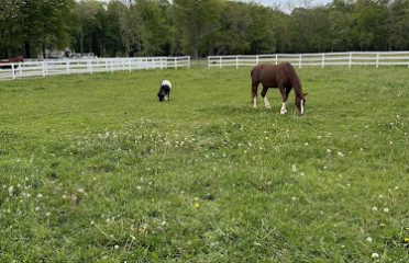 Sandy Hook Equestrian Center