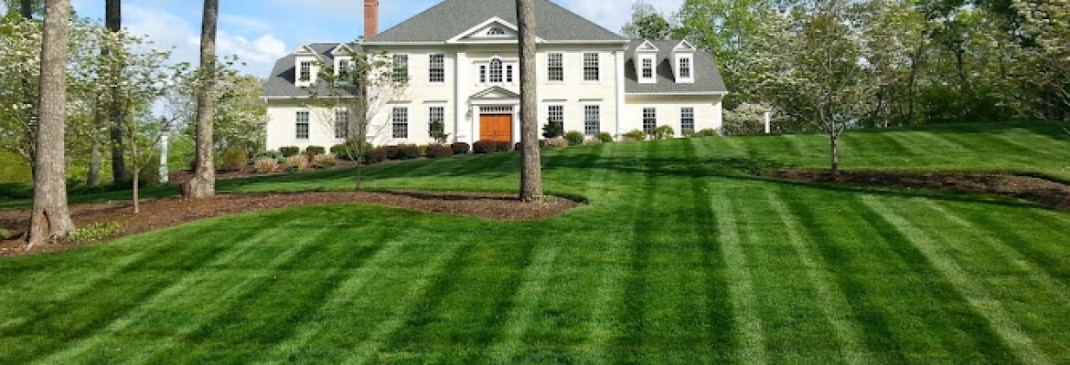 White Oak Landscaping & Lawncare, Inc