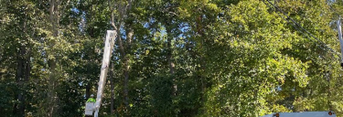 White Hills Landscaping & Tree Service, LLC