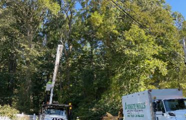 White Hills Landscaping & Tree Service, LLC