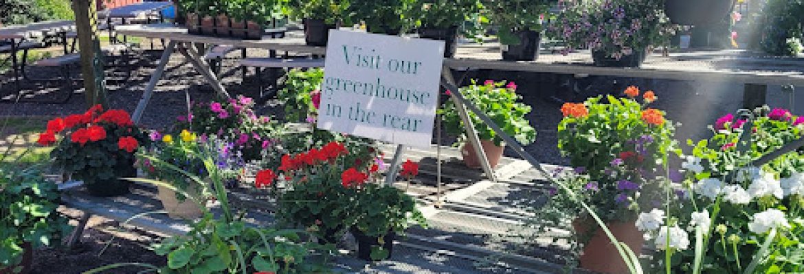 B & B Flower Farm