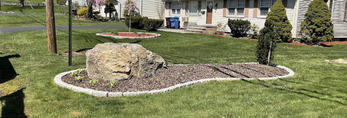 CT Master Lawn & Services LLC