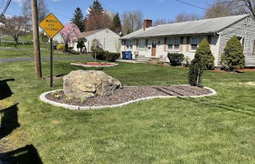 CT Master Lawn & Services LLC