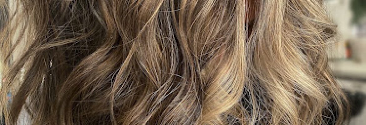 ELAN by DR | BEAUTY Salon | Hair and Makeup Artists | Milford, Connecticut