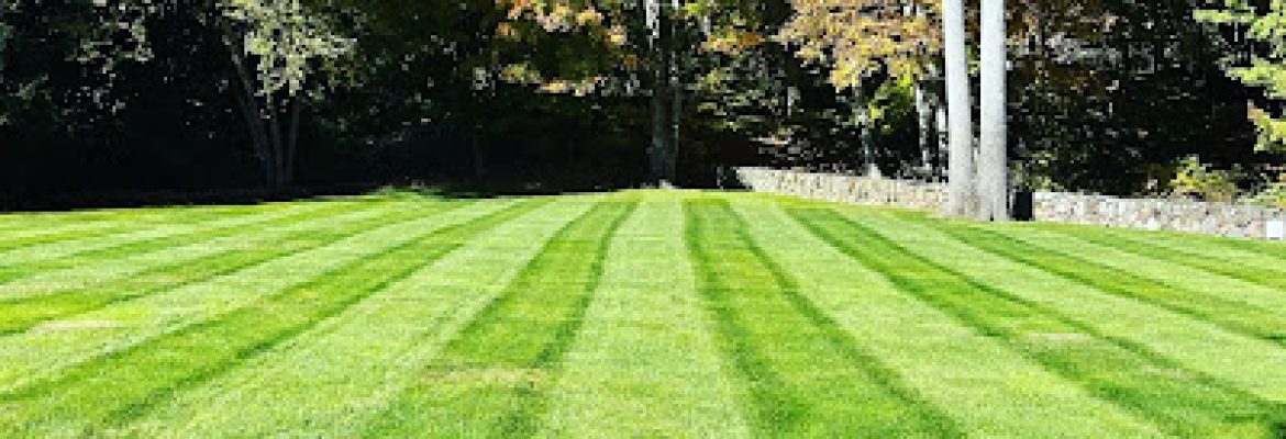 Lasko Landscaping LLC