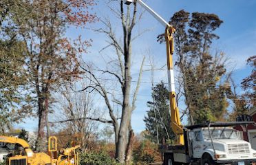 Fred’s Tree Removal LLC
