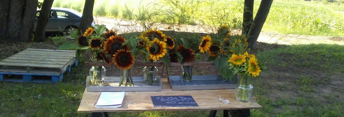 J. L. Hall self-serve farm stand