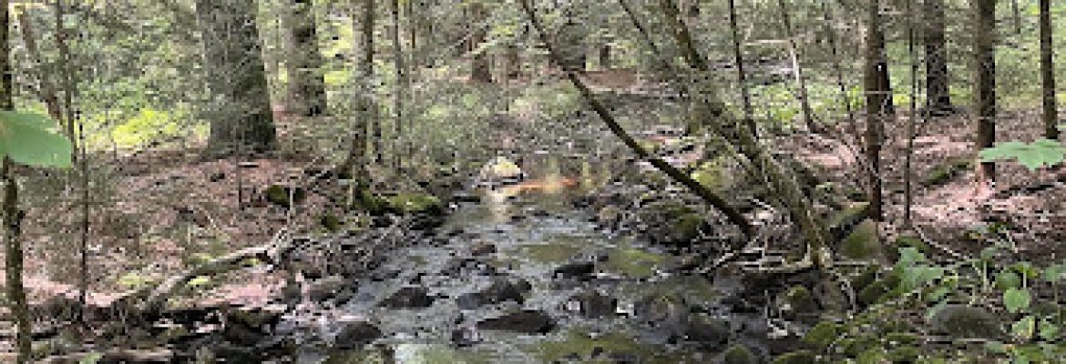 Nipmunk Woods Land Trust